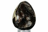 Septarian Dragon Egg Geode - Sparkly Black Crystals #336448-1